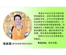 善网专家顾问—毛志亮